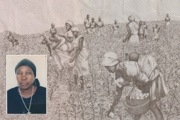 A collage featuring an old portrait of Belita Guilherme, Ana Maria Jeremias&#039; mother, set against a background depicting women working in Angolan fields - an image taken from an Angolan banknote, a kwanza - that Ana Maria has kept since her first trip back to her homeland, when she reunited with her family after 30 years. Lisbon, Portugal, 2024