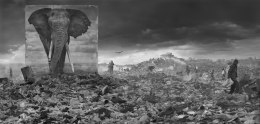 Wasteland with Elephant, 2015, Archival Pigment Print