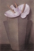 White Anthuriums, Grey Vase, 1980, 19 x 13 Fresson Print