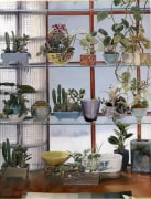 Window with Plants, 1937, Color Carbo Photograph