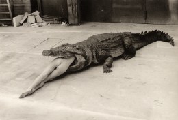 Helmut Newton, (The Legend of Virginity), Wuppertal, n.d.