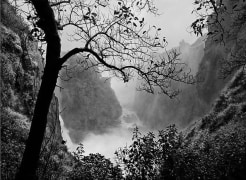 Victoria Falls with Tree, 2008, 16 x 20 inches, Silver Gelatin Photograph