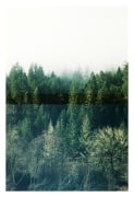 Foggy Oregon Forest, 2020, Archival Pigment Print