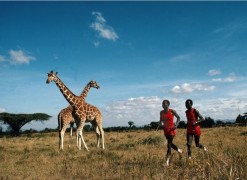 Kipkoech Cheruiyot &amp;amp; Charles Cheruiyot, Nanyuki, Kenya, 1984, Color Photograph
