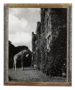 Giraffe Manor, Kenya, 2002