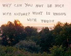 Why Can You Not Be Nice With Nature? 2008. Mounted c-print on 6mm sintra, framed, 60 x 75 inches (152.4 x 190.5 cm). MP P-54