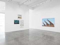 Sputterances. Installation view, 2017. Metro Pictures, New York