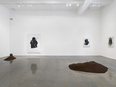 Installation View, 2015. Metro Pictures, New York.