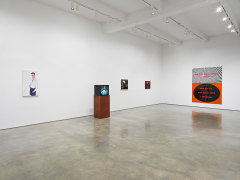Wish. Installation view, 2021. Metro Pictures, New York.