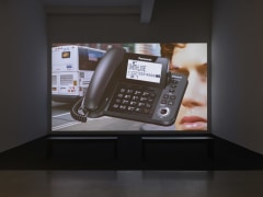 The Collapse of Neoliberalism. Installation view, 2020. Metro Pictures, New York.