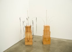 Untitled, 2001. Wood, wire, shoe buttons, and shoelaces, Two pieces: 69 x 30 x 30 inches each. MP 13