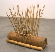 Traps for Birds of Prey, 1999. Wood, bait, 25 x 25 x 8-1/2 inches. MP 18