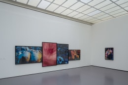 Untitled Horrors. Installation view, 2014. Kunsthaus Zurich.