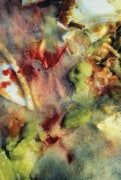 Untitled, 1987-90. Color photograph, 90 x 60 inches. Edition of 6. MP 235
