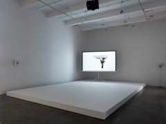 Afterform, 2013. HD Video, Plinth, Tripod projection screen, HD projector, Stereo speakers, Plinth 8 x 312 x 192 inches (20.3 x 792.5 x 487.7 cm), 5 minutes 10 seconds. Installation view, 2013. Metro Pictures, New York.