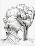 Forces of Nature/Hair, 2011. Ink on paper, 12 x 9 inches (image size), (30.5 x 22.9 cm); 14 5/8 x 11 5/8 inches (frame size), (37.1 x 29.5 cm). MP D-494