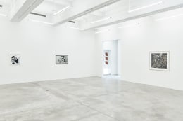 Installation View of Solo Exhibition by Wook-Kyung Choi. Image by Jeremy Haik.