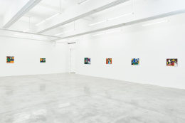 Installation View of Solo Exhibition by Wook-Kyung Choi. Image by Jeremy Haik.