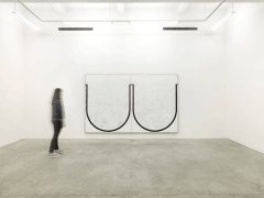 Installation View of Solo Exhibition by Davide Balliano. Image by Jeremy Haik.