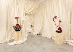 Installation view of For Mario at Tina Kim Gallery, 2019