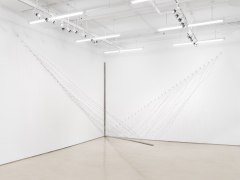 Lines for the Poet, 1970/2023, Barbed wire, Dimensions variable