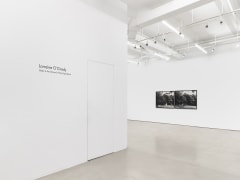 Installation view: Lorraine O&#039;Grady: Body Is the Ground of My Experience, Alexander Gray Associates, New York, 2022