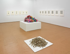 Installation view:&nbsp;Hassan Sharif, Alexander Gray Associates, New York, 2012