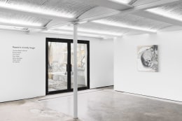 Installation view: Present in a Lonely Image, Alexander Gray Associates, Germantown, 2023