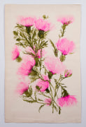 Thistle, from the &quot;Florals&quot; series [018], c. 1973, Watercolor On Paper