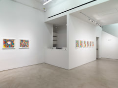 Polly Apfelbaum: The Potential of Women, installation view, Alexander Gray Associates (2017)
