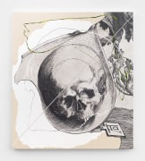 Evan Halter, Three Skulls (After Albrecht D&uuml;rer), 2023, Oil and gesso on canvas, 38 x 33 1/2 in (96.5 x 85.1 cm)
