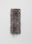 Iron, 2014, Iron frame and wire