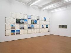 Landscape As an Attitude,&nbsp;Installation view,&nbsp;Alexander Gray Associates, 2010