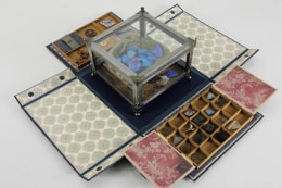 Admission, 2020 Copper sulfate, blue morpho, copper, iron, glass, wood, tile, trinket, cloth, Japanese pottery, coins, and two notebooks