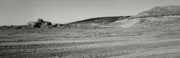 Recent Terrains, Study #3, Laguna Hills, California, 1991