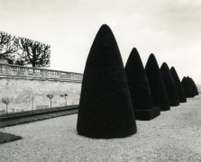 Atget&#039;s Trees, Study 2, St. Cloud, France, 1980