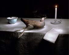 Tas swamp hen with candle, 2005