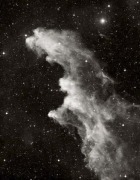 C 2118, Witch&#039;s Head nebula
