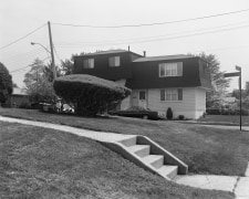 At the Corner of Muller and Watchogue, 1983-84