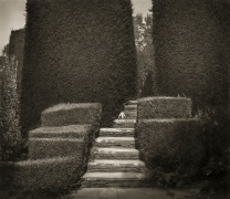 Steps, Great Dixter, from the series In the Garden