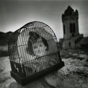 Girl in Cage, Death Valley, CA, 1980