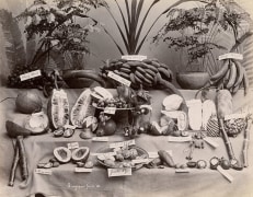 Singapore Fruit, ca. 1870&#039;s
