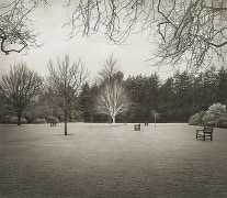 Lawn, Hall Place, from the series In the Garden, 2001, platinum print, 16 x 18 1/2 inches