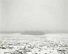 Untitled, from Illinois Landscapes, 1982, gelatin silver contact print, 8 x 10 inches