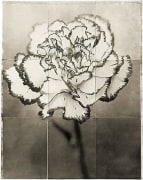 Dianthus, from the series &quot;Reconstructions,&quot;platinum palladium print on handmade Japanese gampi, sewn on Japanese washi