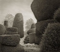 Passage, Levens Hall, from the series In the Garden, 2003, platinum print, 16 x 18 1/2 inches