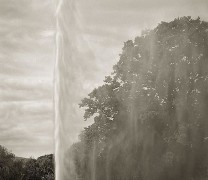 Fountain, Stanway, from the series In the Garden, 2004, platinum print, 16 x 18 1/2 inches