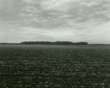 Untitled, from Illinois Landscapes, 2014, gelatin silver print, 8 x 10 inches