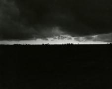 Untitled from Illinois Landscapes, 1979, gelatin silver contact print, 8 x 10 inches
