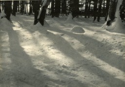 Snow &amp;amp; Silence, vintage carbro print, 4 1/2 x 6 1/2 inches